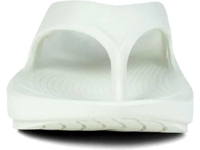 OOFOS OOriginal Sandal | Free Shipping Orders $99+ | Fleet Feet