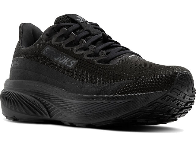 Men's | Brooks Ghost 17 GTX | Fleet Feet