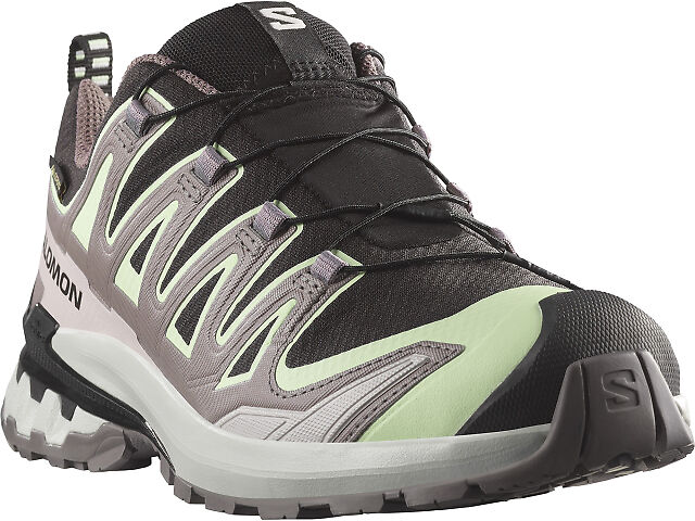 Women's | Salomon XA Pro 3D V9 GTX | Fleet Feet