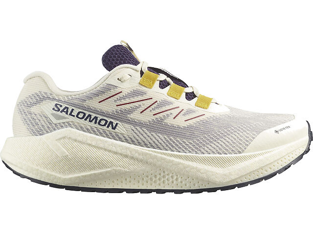 Salomon AERO BLAZE 3 GRVL 新品 Men's | Salomon Aero Blaze 3 GRVL GTX | Fleet Feet