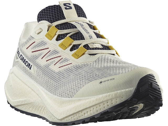 Men's | Salomon Aero Blaze 3 GRVL GTX | Fleet Feet