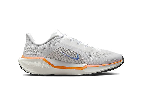 Women's Nike Air Zoom Pegasus 39 | Free Shipping & Returns | Fleet